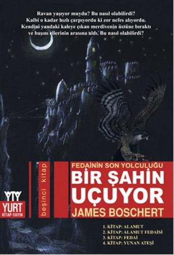 Bir Şahin Uçuyor | Kitap Ambarı