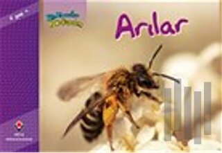 Bir Zamanlar Korkardım - Arılar