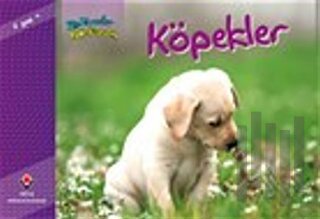 Bir Zamanlar Korkardım - Köpekler