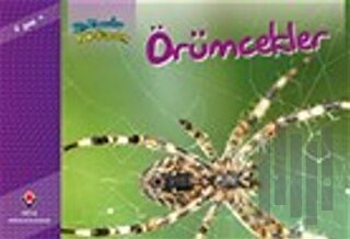 Bir Zamanlar Korkardım - Örümcekler