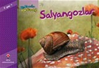 Bir Zamanlar Korkardım - Salyangozlar