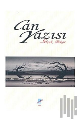 Can Yazısı