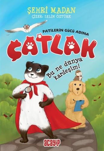Bu Ne Dünya Kardeşim! - Çatlak | Kitap Ambarı