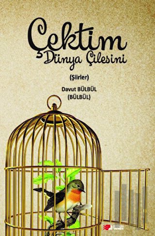 Çektim Dünya Çilesini