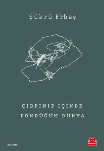 Çırpınıp İçinde Döndüğüm Dünya | Kitap Ambarı