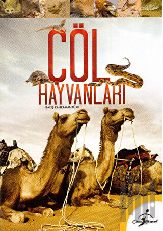Çöl Hayvanları