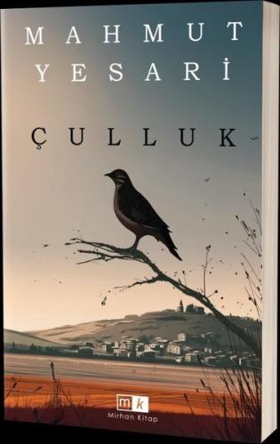Çulluk | Kitap Ambarı