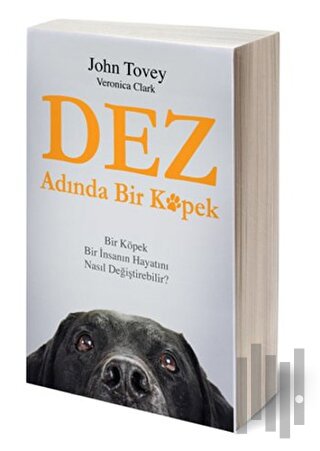 Dez Adında Bir Köpek