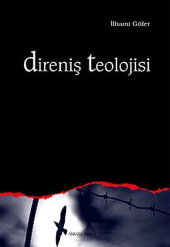 Direniş Teolojisi | Kitap Ambarı