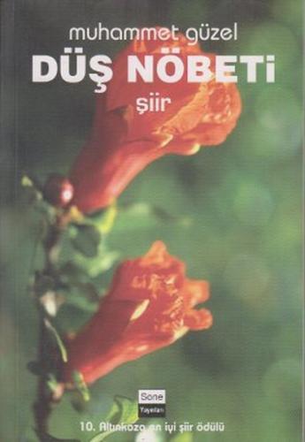 Düş Nöbeti