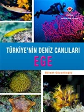Ege - Türkiye'nin Deniz Canlıları (Ciltli)