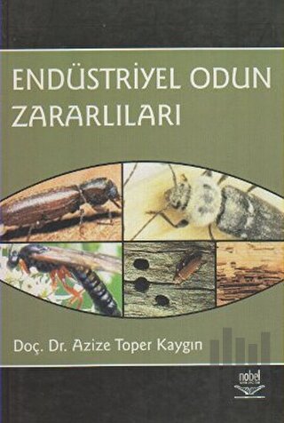Endüstriyel Odun Zararlıları