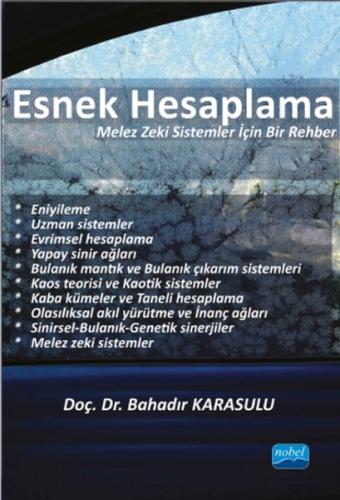 Esnek Hesaplama | Kitap Ambarı