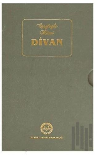 Eşrefoğlu Rumi Divanı (Ciltli)