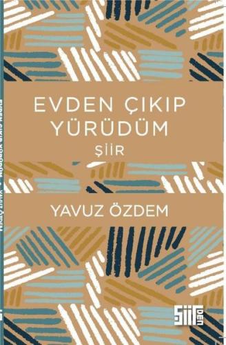 Evden Çıkıp Yürüdüm