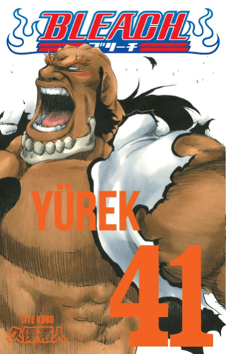 Bleach 41. Cilt | Kitap Ambarı