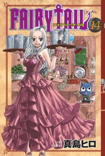 Fairy Tail 14. Cilt | Kitap Ambarı