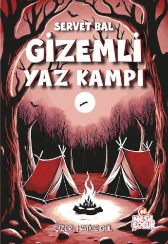 Gizemli Yaz Kampı | Kitap Ambarı
