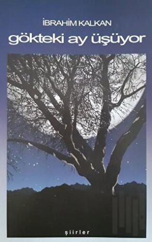Gökteki Ay Üşüyor | Kitap Ambarı