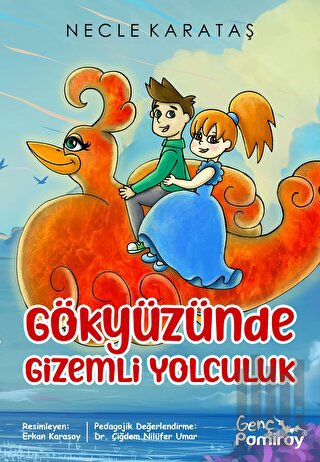 Gökyüzünde Gizemli Yolculuk | Kitap Ambarı