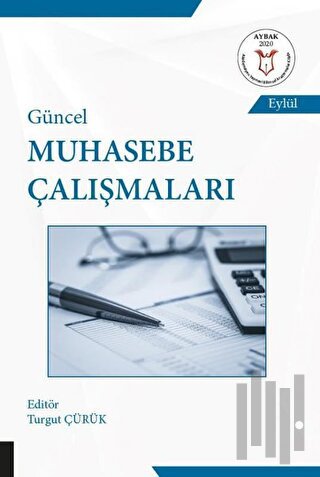 Güncel Muhasebe Çalışmaları | Kitap Ambarı