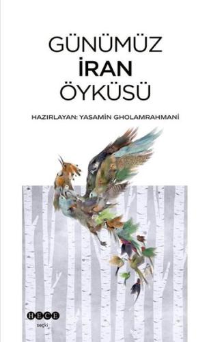 Günümüz İran Öyküsü | Kitap Ambarı