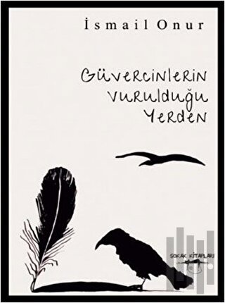 Güvercinlerin Vurulduğu Yerden