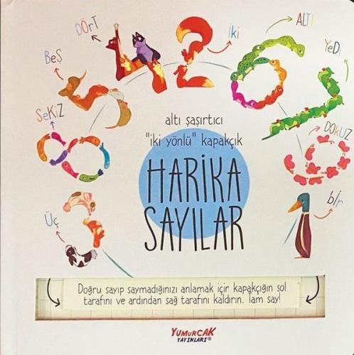 Harika Sayılar (Kapakçıklı) (Ciltli) | Kitap Ambarı
