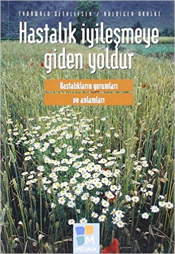 Hastalık İyileşmeye Giden Yoldur | Kitap Ambarı