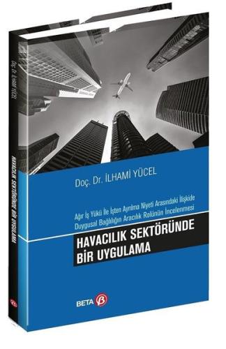 Havacılık Sektöründe Bir Uygulama | Kitap Ambarı