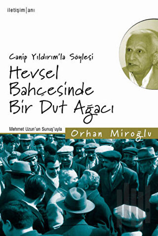Hevsel Bahçesinde Bir Dut Ağacı