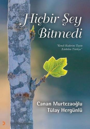 Hiçbir Şey Bitmedi - Kendi Kaderinin Tayin Edebilen Türkiye
