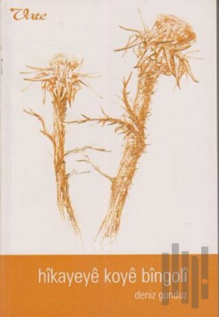 Hikayeye Koye Bingoli