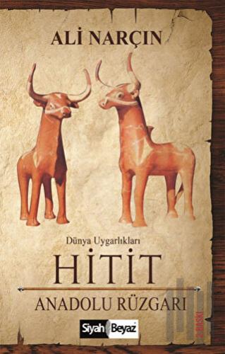 Hitit - Anadolu Rüzgarı | Kitap Ambarı