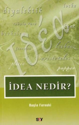İdea Nedir?