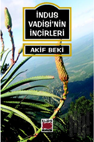 İndus Vadisi’nin İncirleri