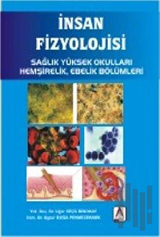 İnsan Fizyolojisi