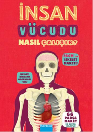 İnsan Vücudu Nasıl Çalışır? (Ciltli) | Kitap Ambarı