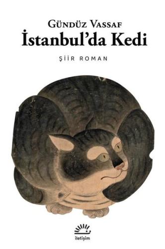 İstanbul'da Kedi - Şiir Roman
