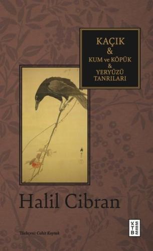 Kaçık - Kum ve Köpük - Yeryüzü Tanrıları