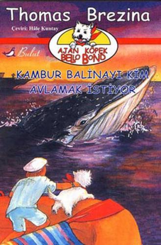 Kambur Balinayı Kim Avlamak İstiyor