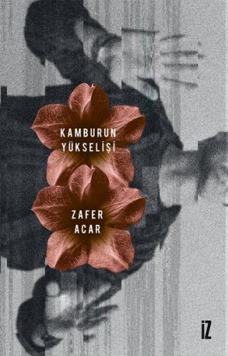 Kamburun Yükselişi