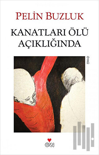 Kanatları Ölü Açıklığında