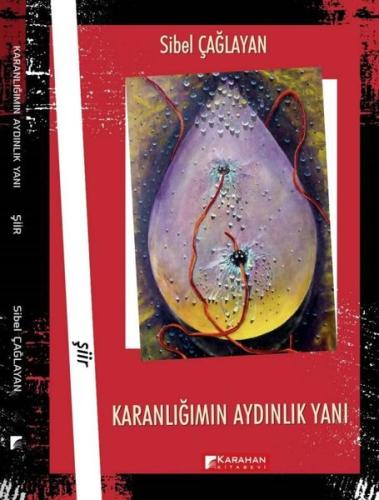 Karanlığımın Aydınlık Yanı | Kitap Ambarı