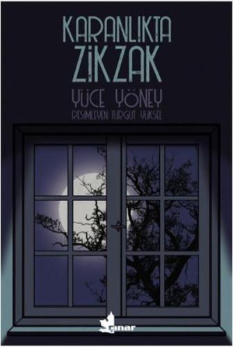 Karanlıkta Zikzak