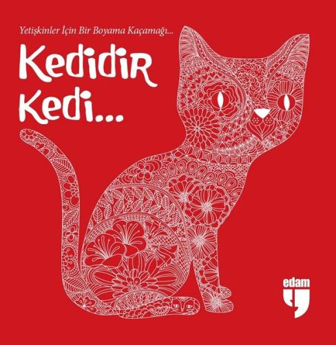 Kedidir Kedi