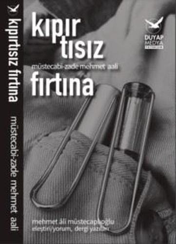 Kıpırtısız Fırtına | Kitap Ambarı