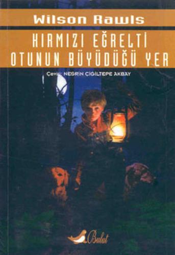 Kırmızı Eğrelti Otunun Büyüdüğü Yer