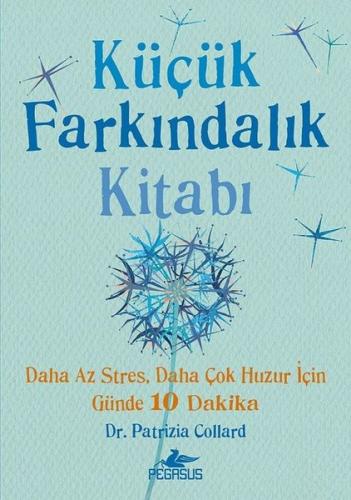 Küçük Farkındalık Kitabı (Ciltli)