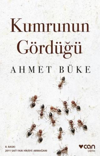 Kumrunun Gördüğü | Kitap Ambarı